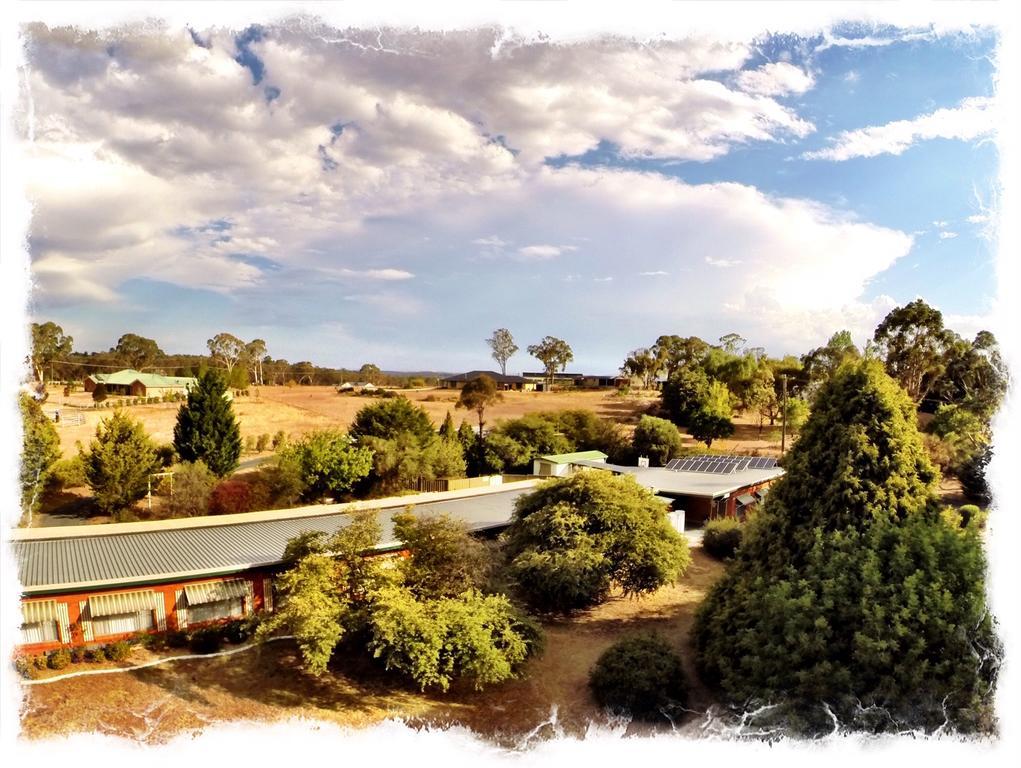 Armidale Rose Villa Motel Extérieur photo