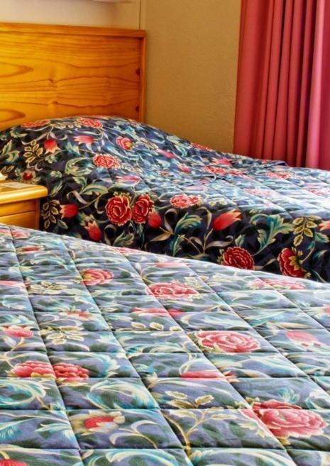 Armidale Rose Villa Motel Chambre photo